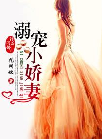 钻石闪婚之宠溺小妻