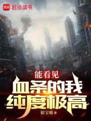 能看见血条的我纯度极高 TXT